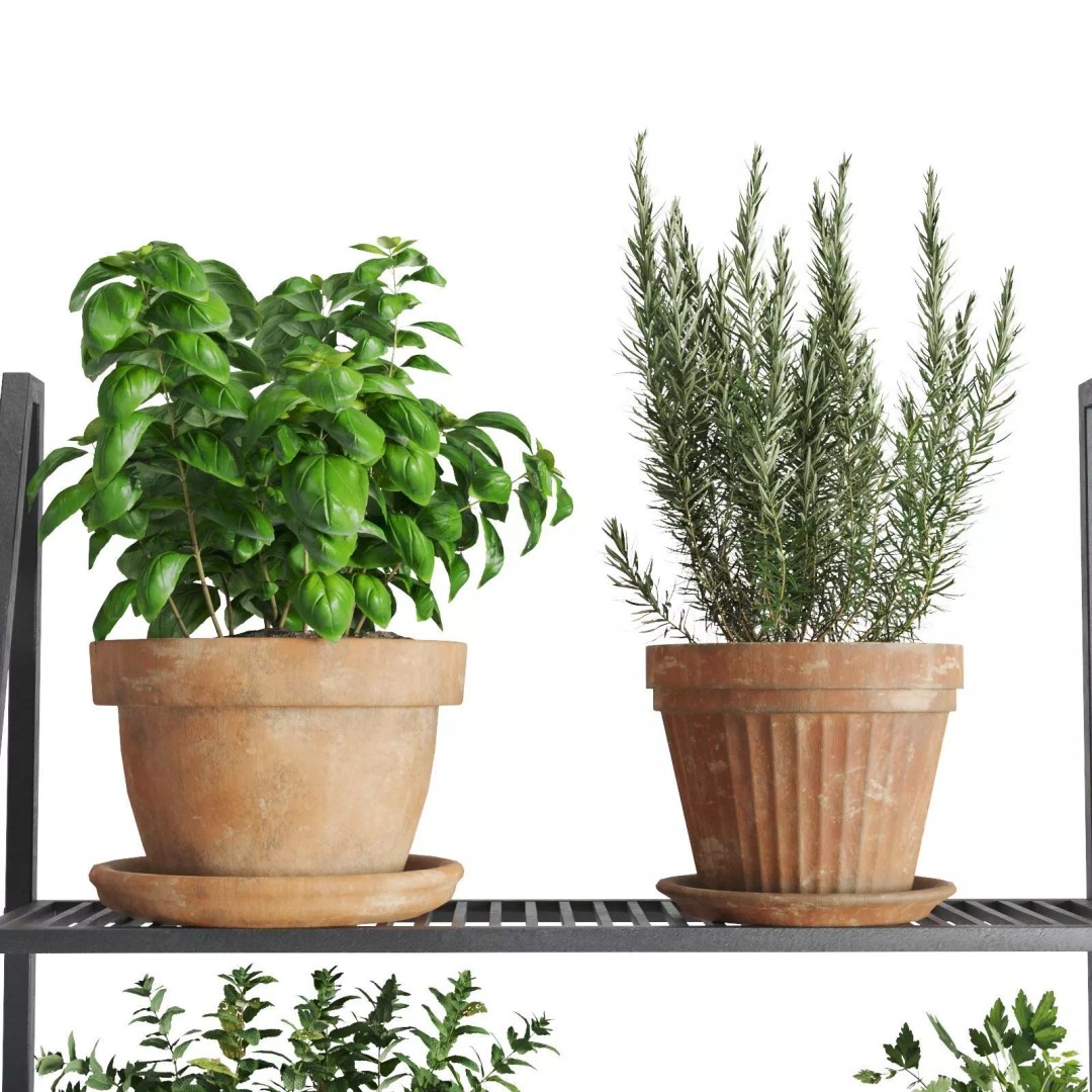 Herb Shelf 3D Model – Decorative Metal Shelf with Terracotta Pots