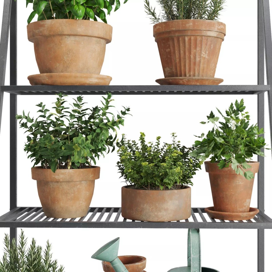 Herb Shelf 3D Model – Decorative Metal Shelf with Terracotta Pots - View 11