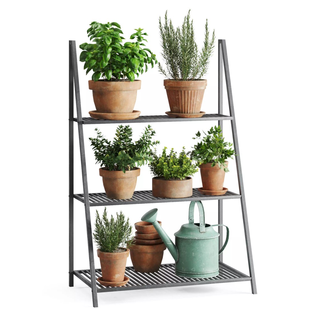 Herb Shelf 3D Model – Decorative Metal Shelf with Terracotta Pots - View 2