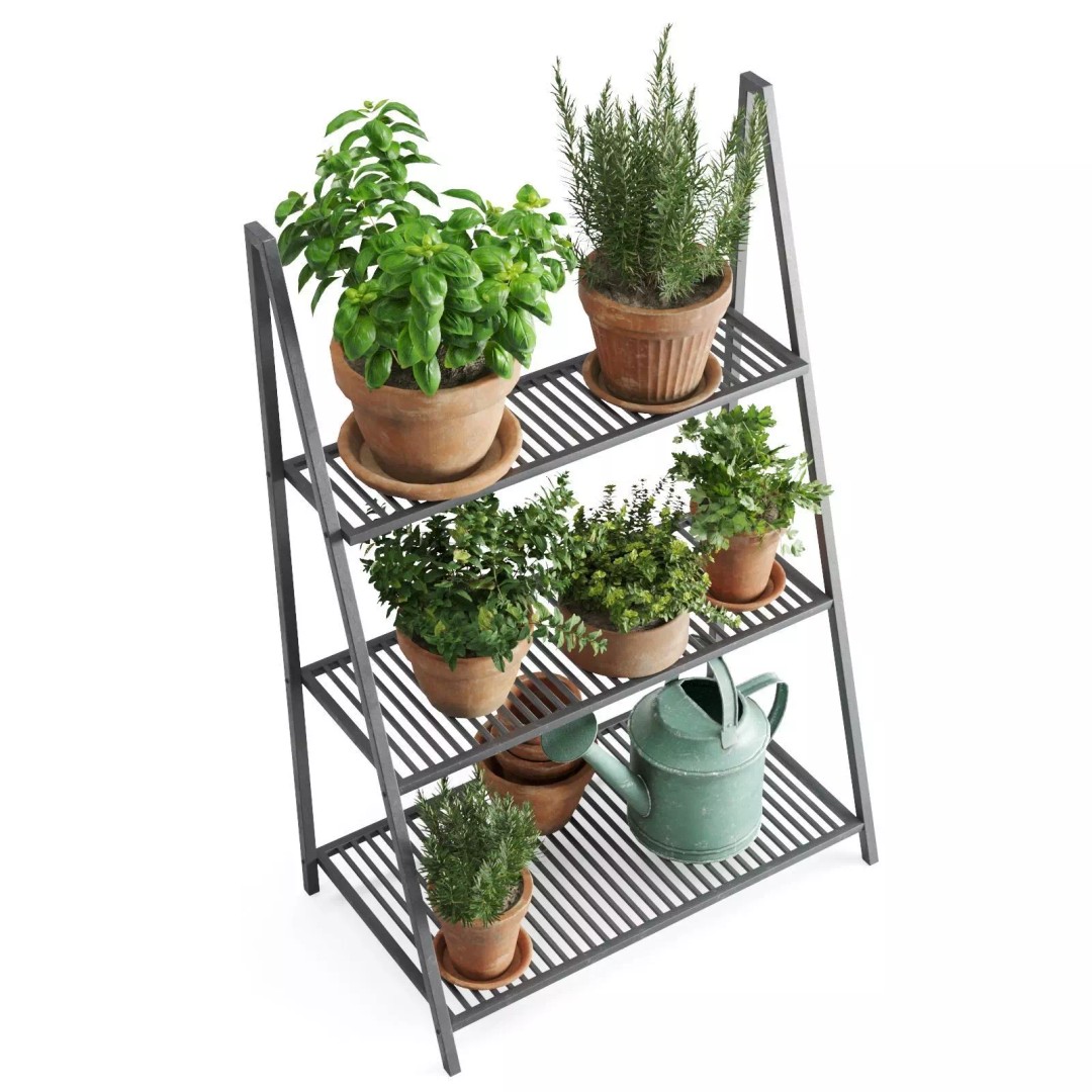 Herb Shelf 3D Model – Decorative Metal Shelf with Terracotta Pots - View 5