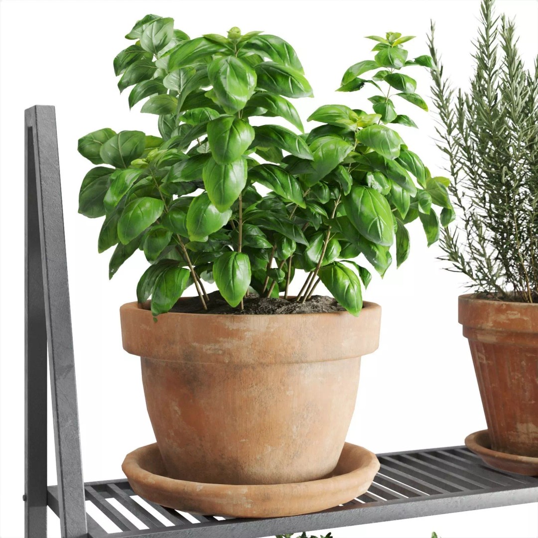 Herb Shelf 3D Model – Decorative Metal Shelf with Terracotta Pots - View 6