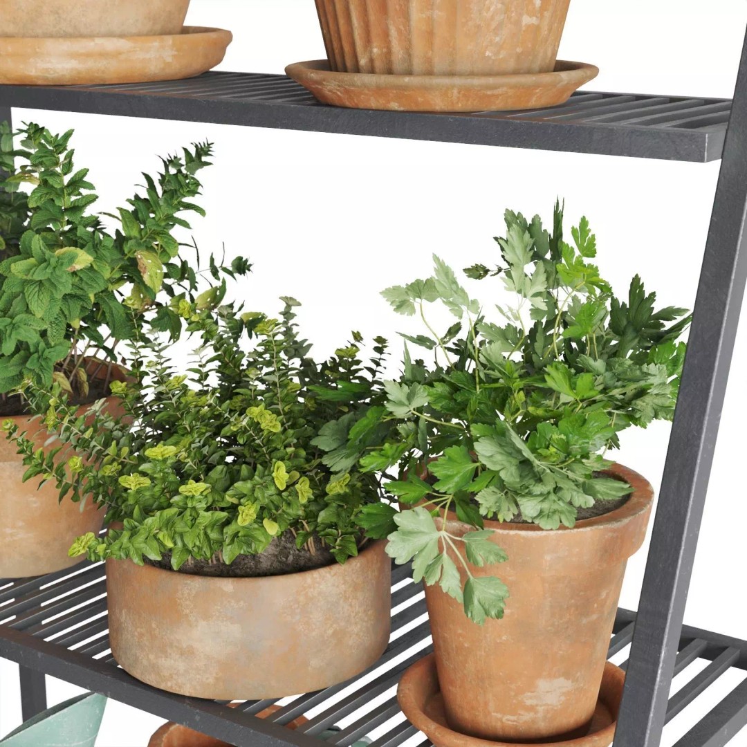 Herb Shelf 3D Model – Decorative Metal Shelf with Terracotta Pots - View 9