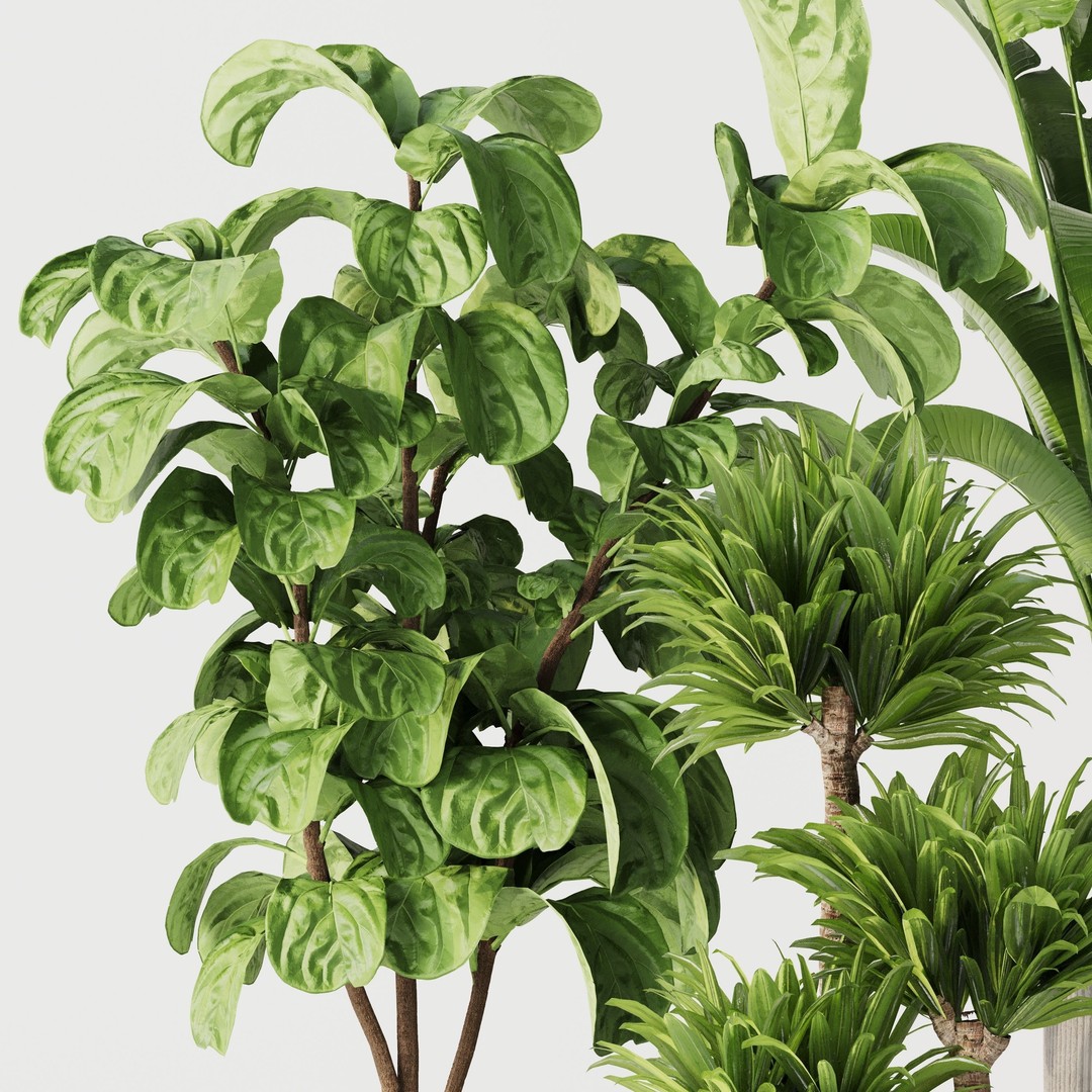 Indoor Plant Set 01 3D Model – Modern Concrete Vase, PBR Textures