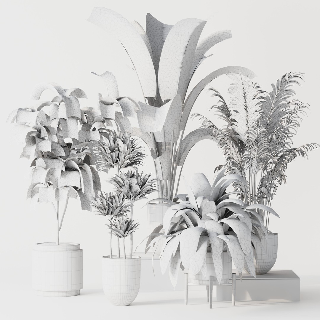 Indoor Plant Set 01 3D Model – Modern Concrete Vase, PBR Textures - View 11