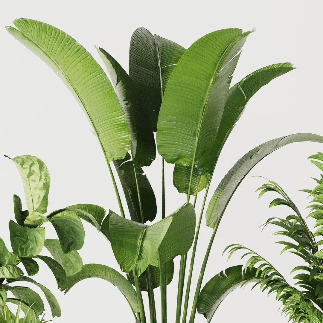 Indoor Plant Set 01 3D Model – Modern Concrete Vase, PBR Textures - View 12