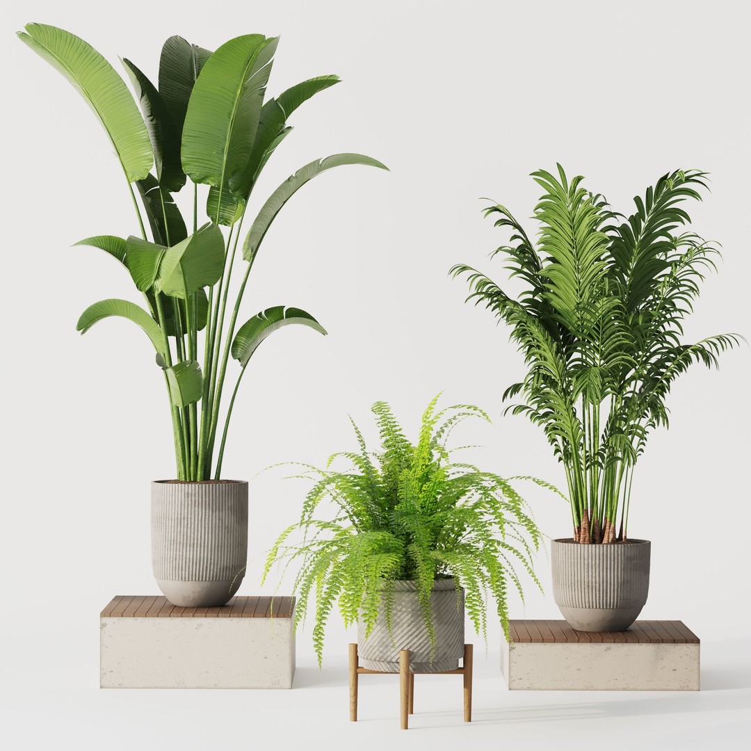 Indoor Plant Set 01 3D Model – Modern Concrete Vase, PBR Textures - View 5