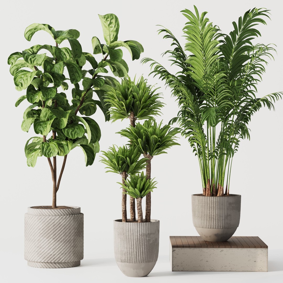 Indoor Plant Set 01 3D Model – Modern Concrete Vase, PBR Textures - View 6