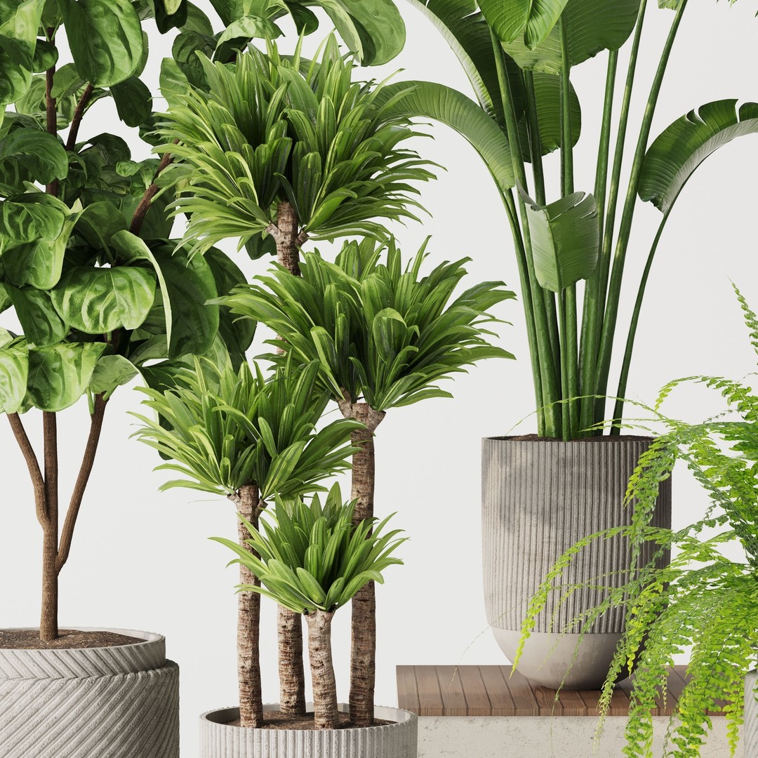 Indoor Plant Set 01 3D Model – Modern Concrete Vase, PBR Textures - View 7
