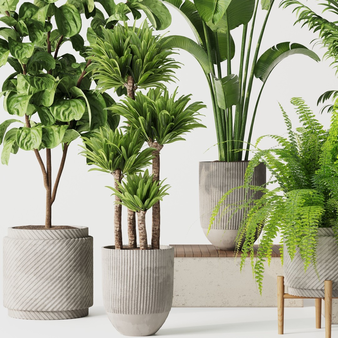 Indoor Plant Set 01 3D Model – Modern Concrete Vase, PBR Textures - View 8