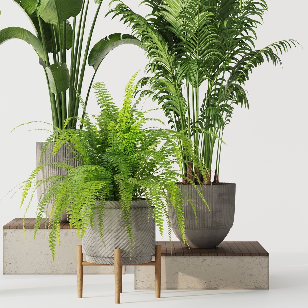 Indoor Plant Set 01 3D Model – Modern Concrete Vase, PBR Textures - View 9