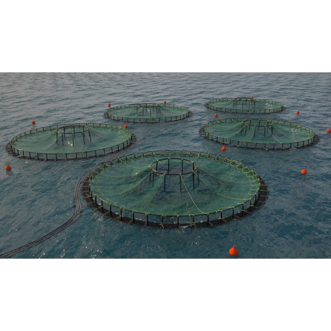 Sustainable Fish Farm Net 3D Model – PBR, FBX, Game Ready - View 3