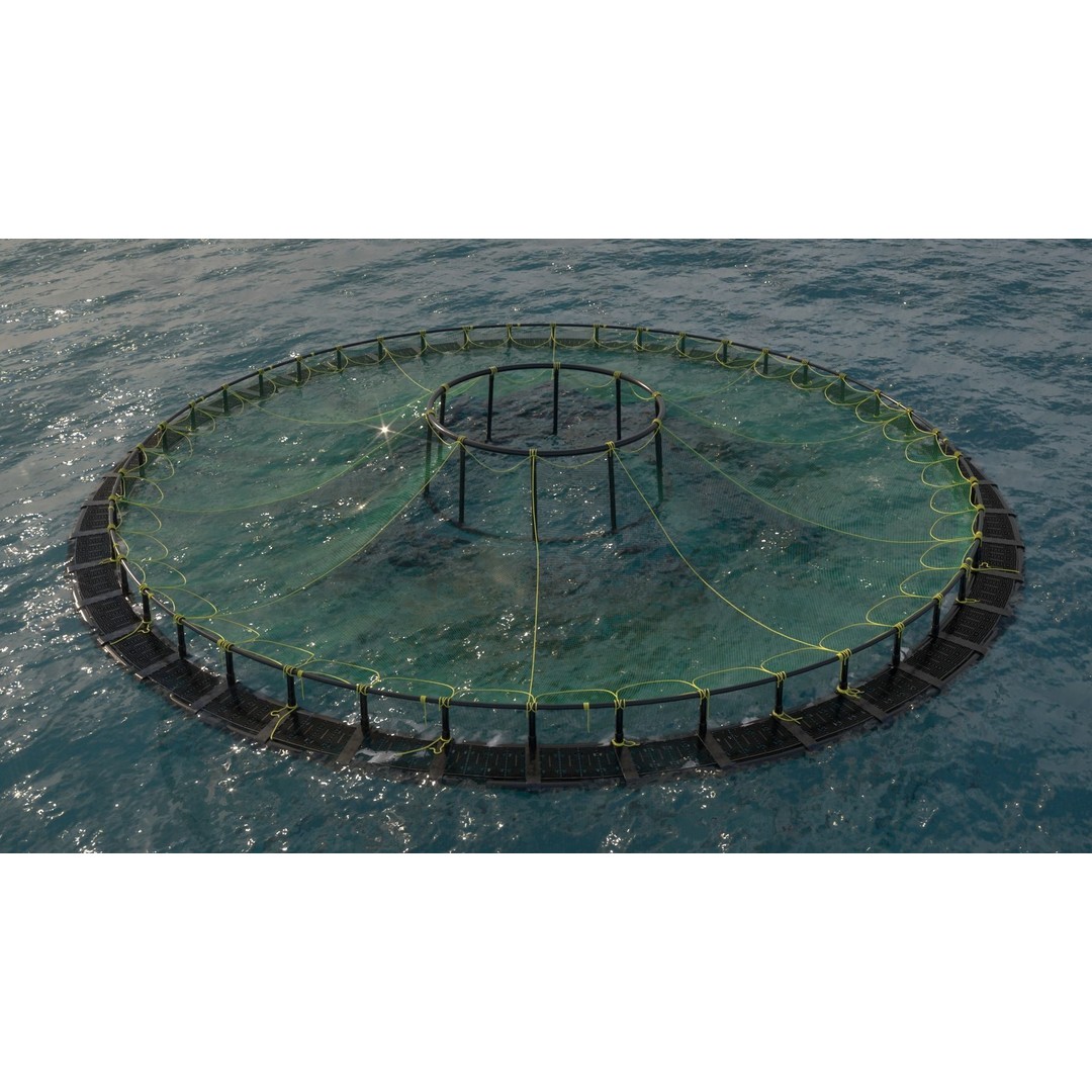 Sustainable Fish Farm Net 3D Model – PBR, FBX, Game Ready - View 4