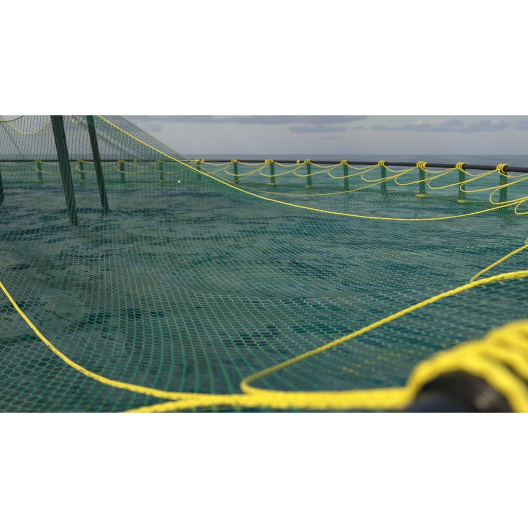Sustainable Fish Farm Net 3D Model – PBR, FBX, Game Ready - View 5