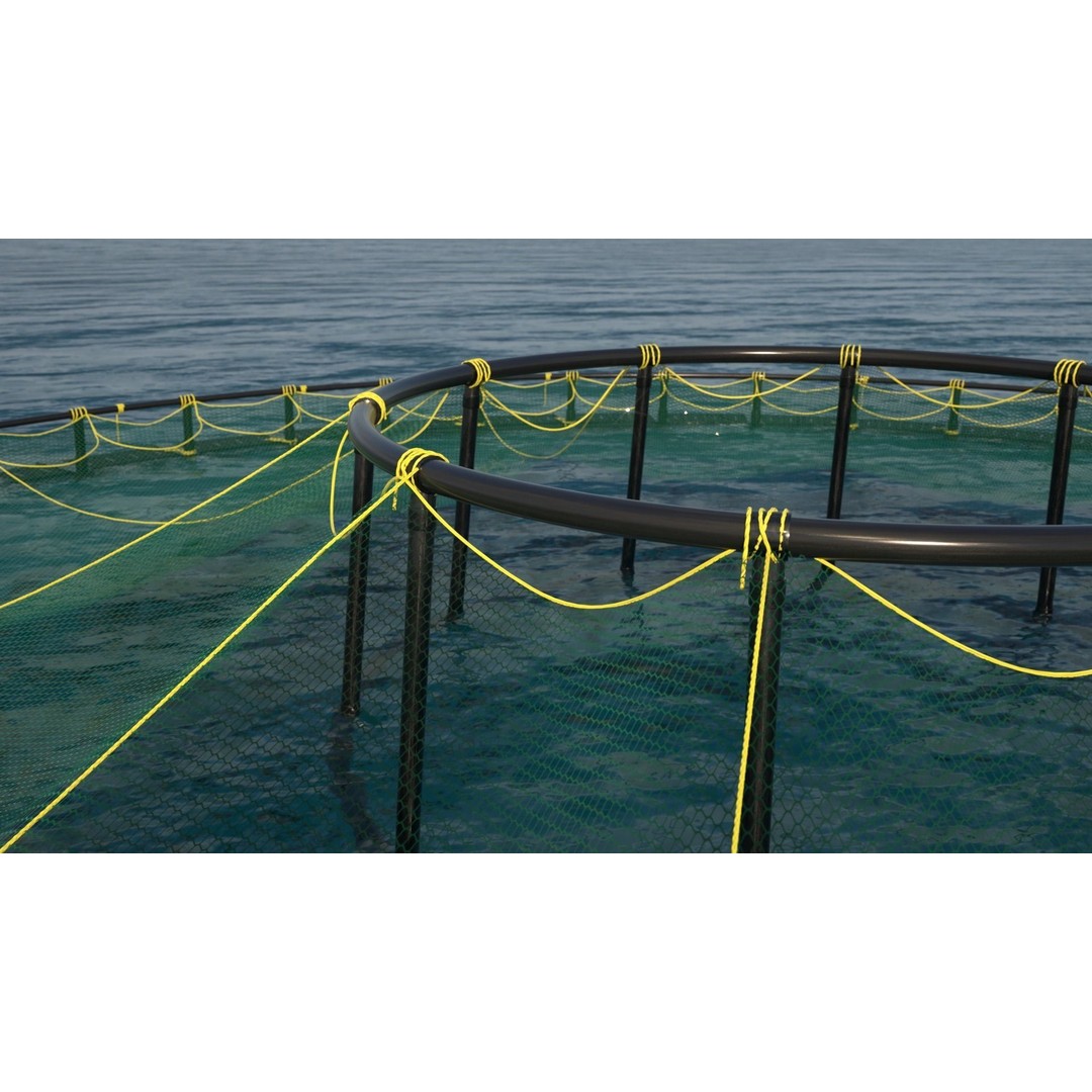 Sustainable Fish Farm Net 3D Model – PBR, FBX, Game Ready - View 6
