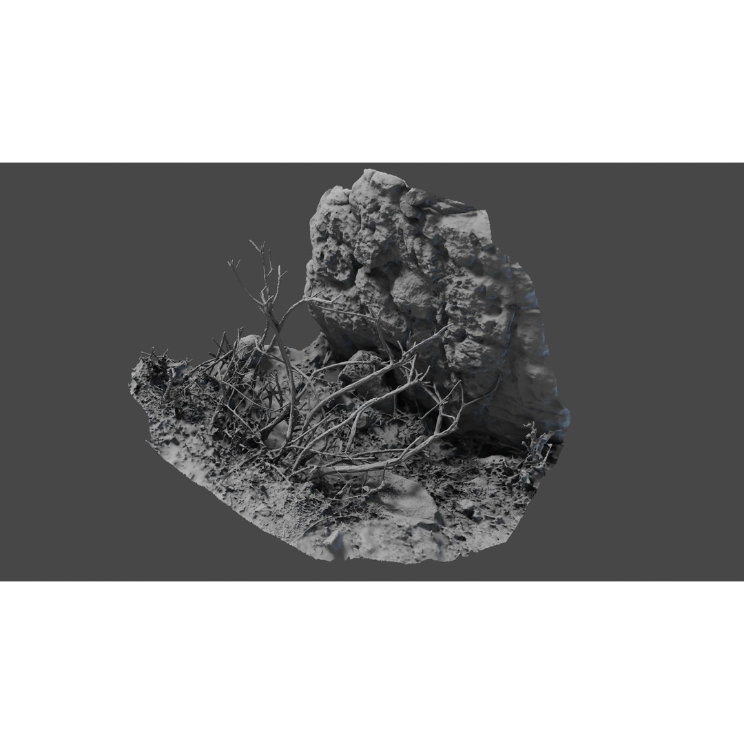 Lapenatwigs 3D Model – High-Res Polygon Mesh with Textures, OBJ - View 11