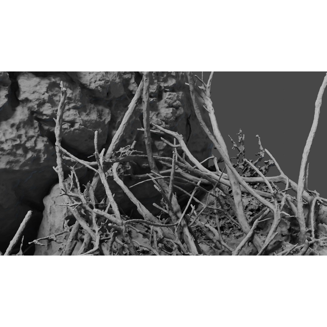 Lapenatwigs 3D Model – High-Res Polygon Mesh with Textures, OBJ - View 12