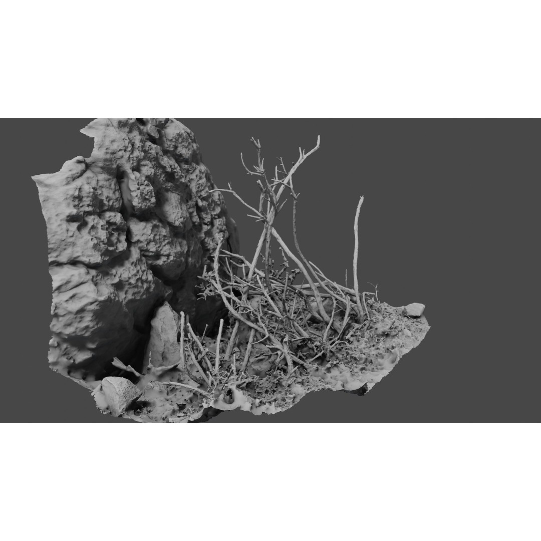 Lapenatwigs 3D Model – High-Res Polygon Mesh with Textures, OBJ - View 14