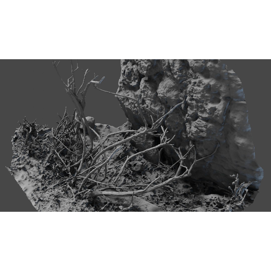 Lapenatwigs 3D Model – High-Res Polygon Mesh with Textures, OBJ - View 17