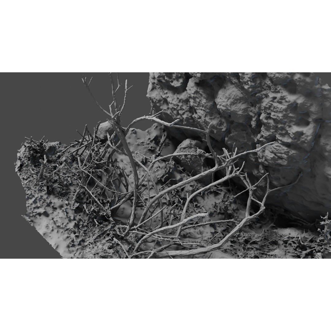Lapenatwigs 3D Model – High-Res Polygon Mesh with Textures, OBJ - View 18