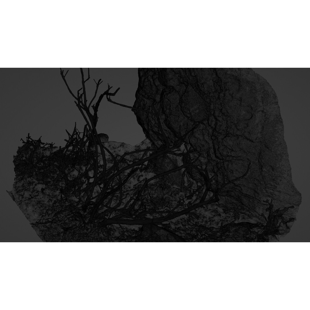Lapenatwigs 3D Model – High-Res Polygon Mesh with Textures, OBJ - View 26