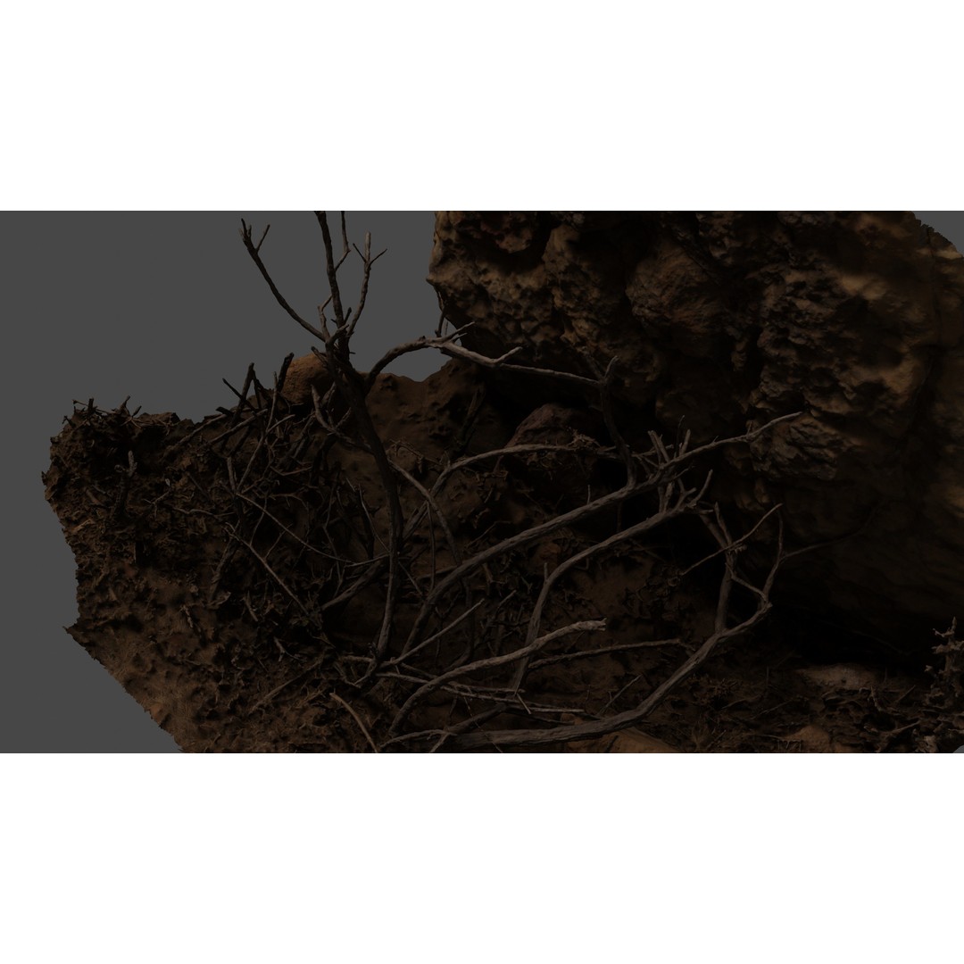 Lapenatwigs 3D Model – High-Res Polygon Mesh with Textures, OBJ - View 9