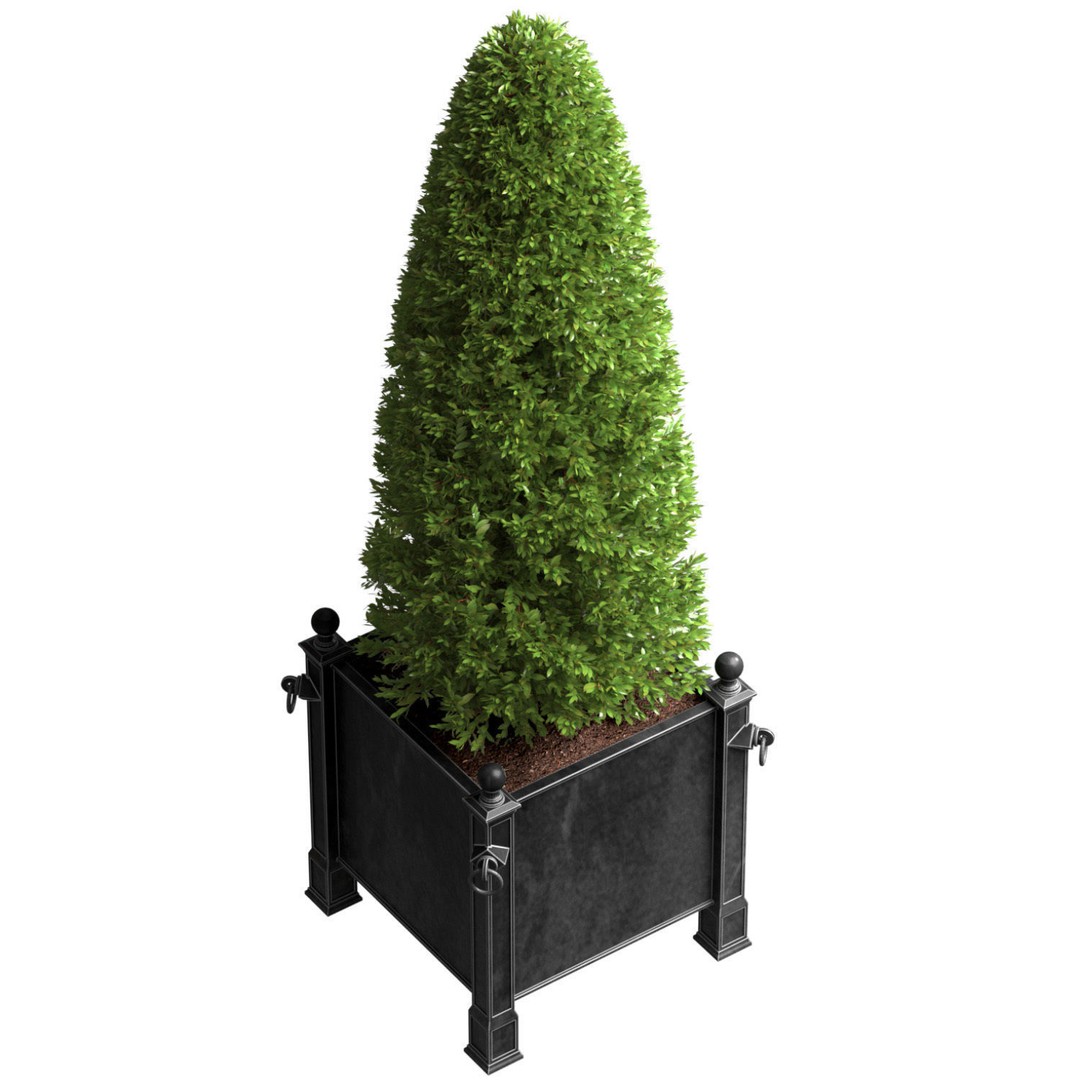 Decorative Tree 3D Model – Art Deco Style Planter, FBX & OBJ - View 3