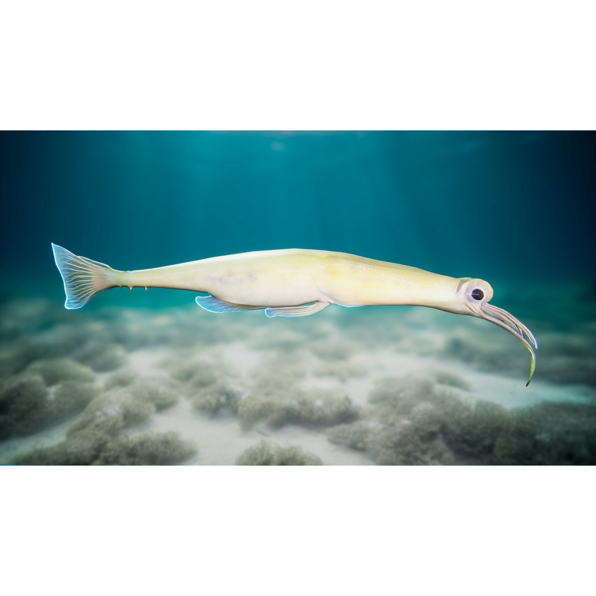 Alien Fish - Low-Poly Game-Ready 3D Model - View 14