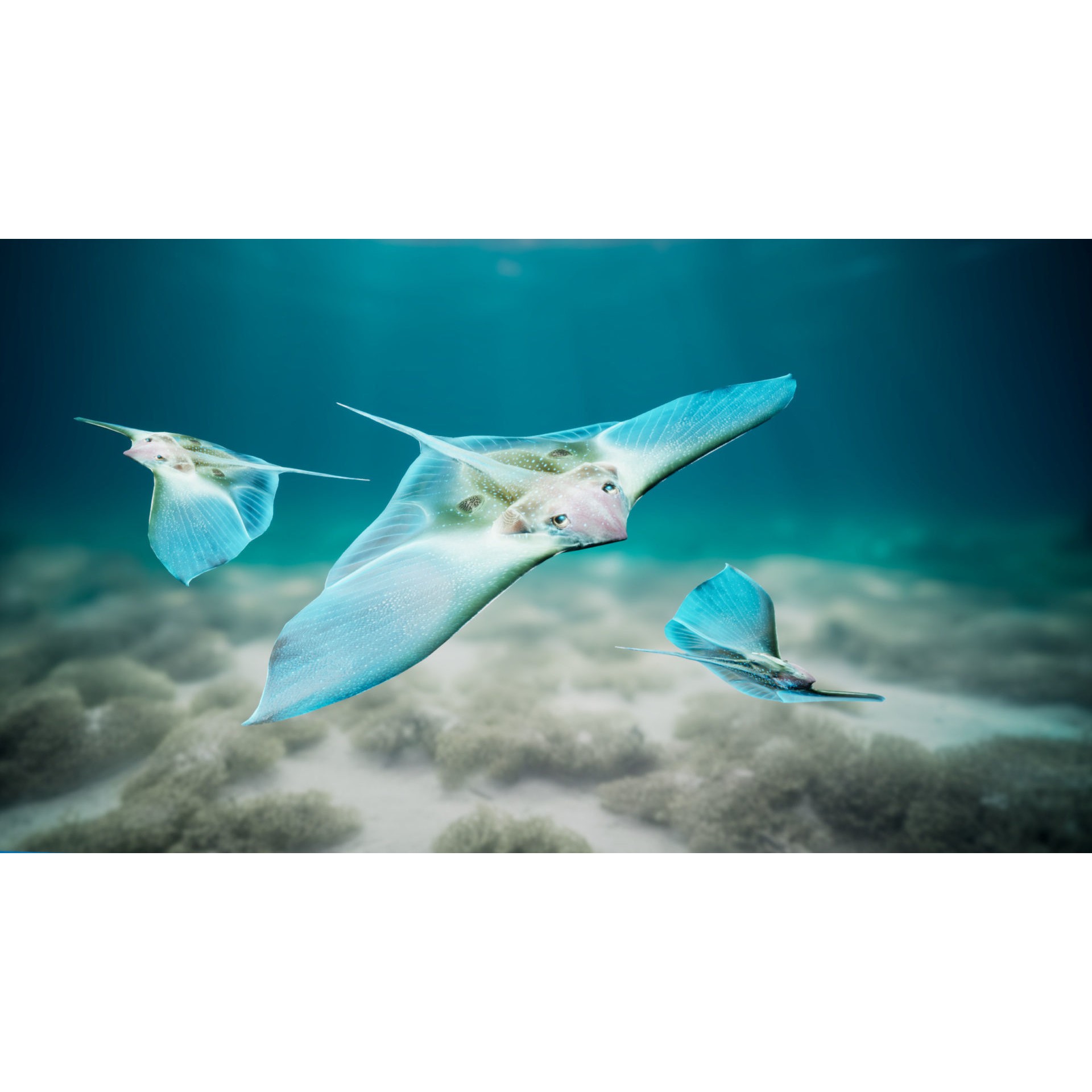 Alien Fish - Low-Poly Game-Ready 3D Model - View 18