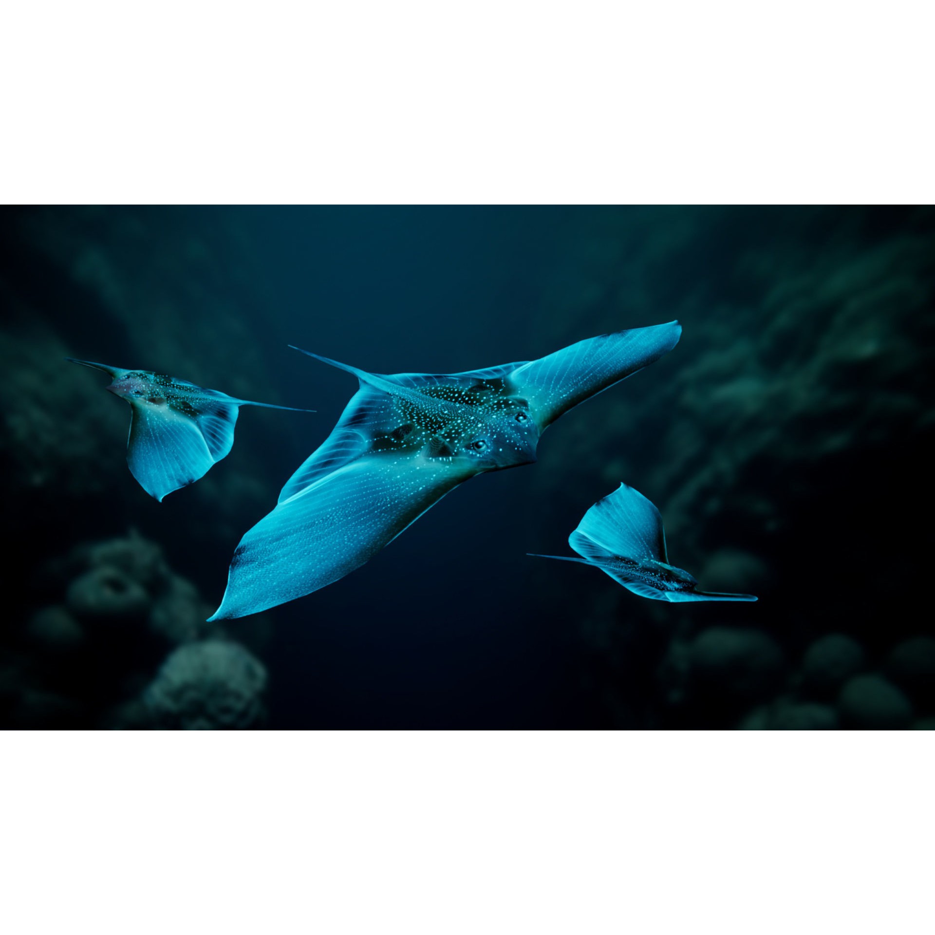 Alien Fish - Low-Poly Game-Ready 3D Model - View 19