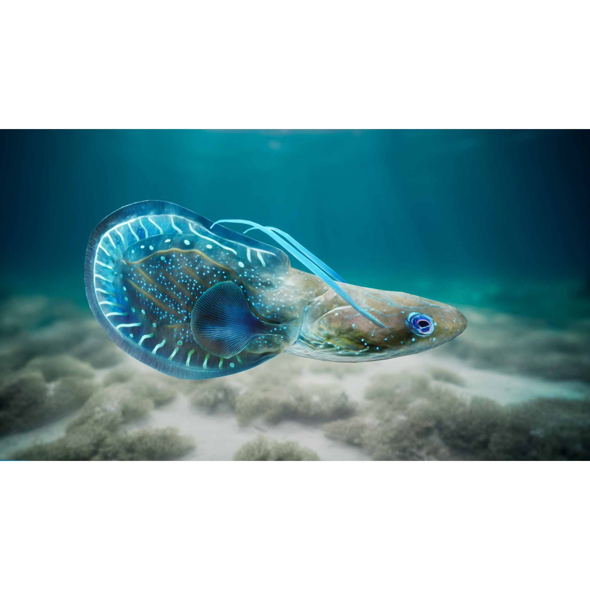 Alien Fish - Low-Poly Game-Ready 3D Model - View 20