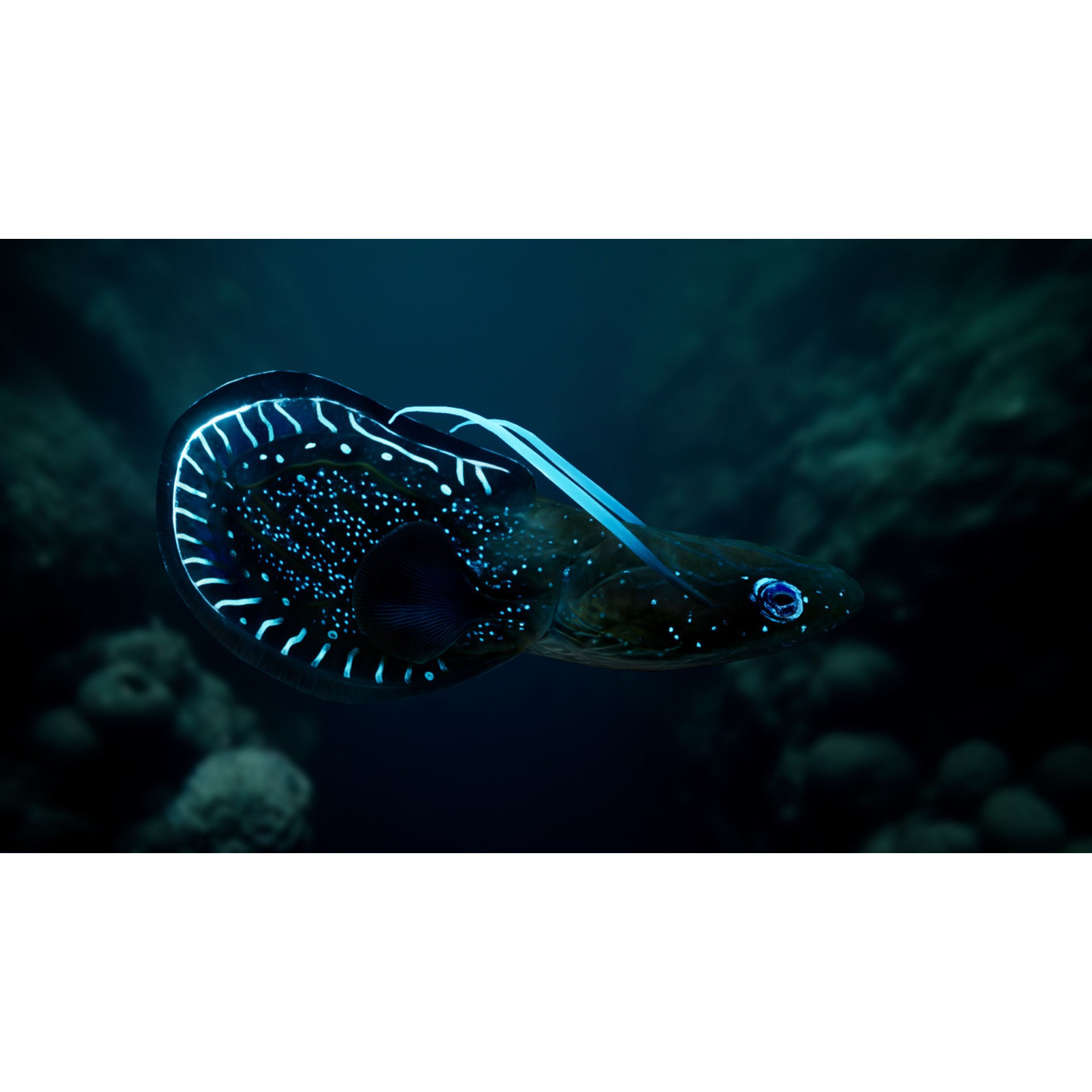 Alien Fish - Low-Poly Game-Ready 3D Model - View 21