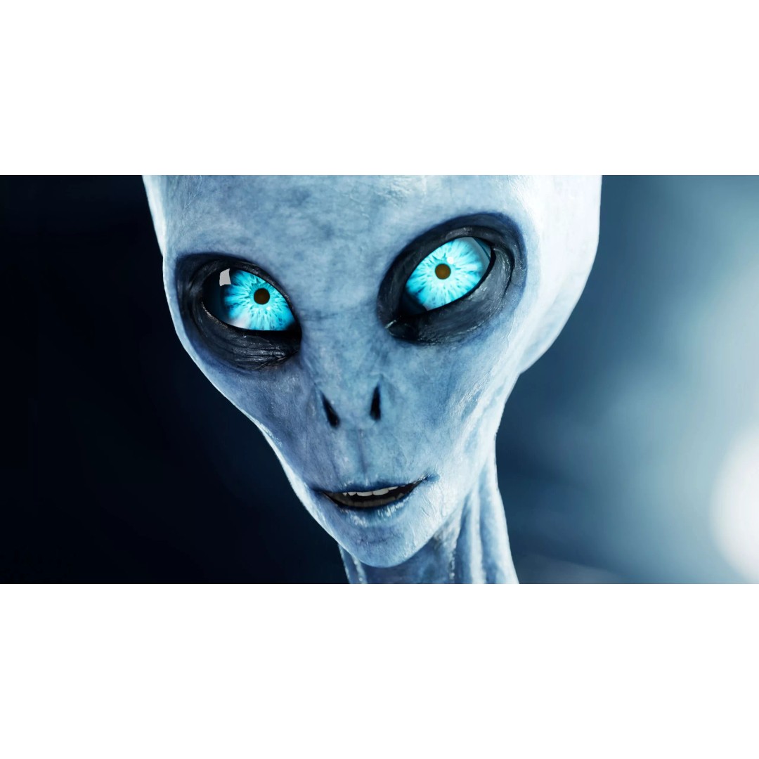 Grey Alien 3D Model – Low Poly Rigged Sci-Fi Character, FBX - View 17