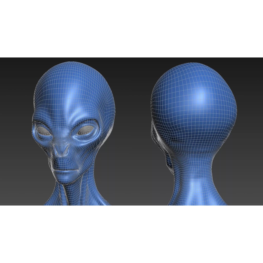 Grey Alien 3D Model – Low Poly Rigged Sci-Fi Character, FBX - View 21