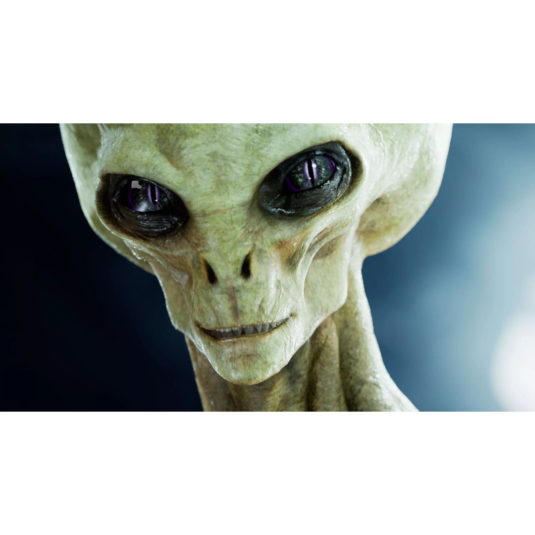 Grey Alien 3D Model – Low Poly Rigged Sci-Fi Character, FBX - View 5