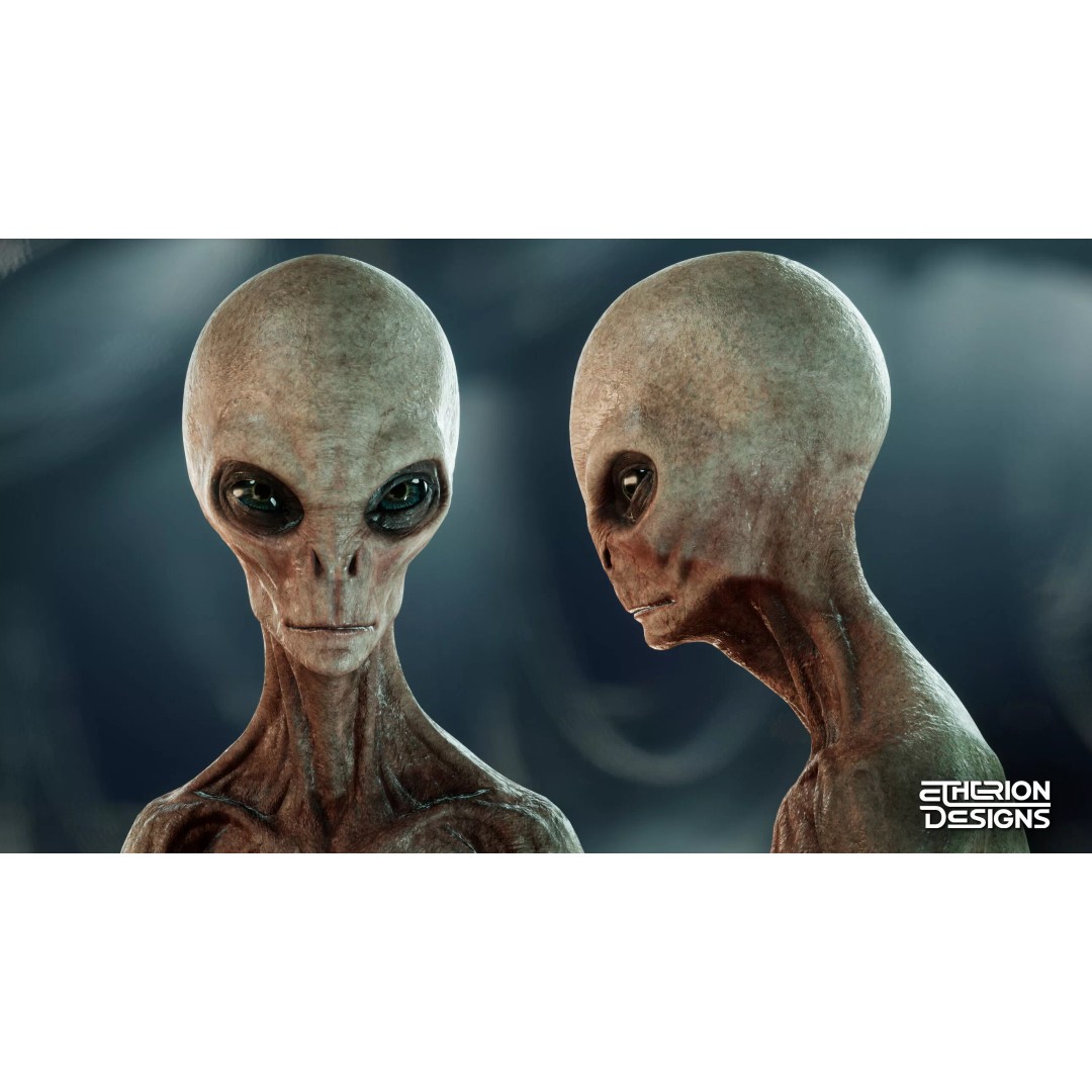 Grey Alien 3D Model – Low Poly Rigged Sci-Fi Character, FBX - View 6