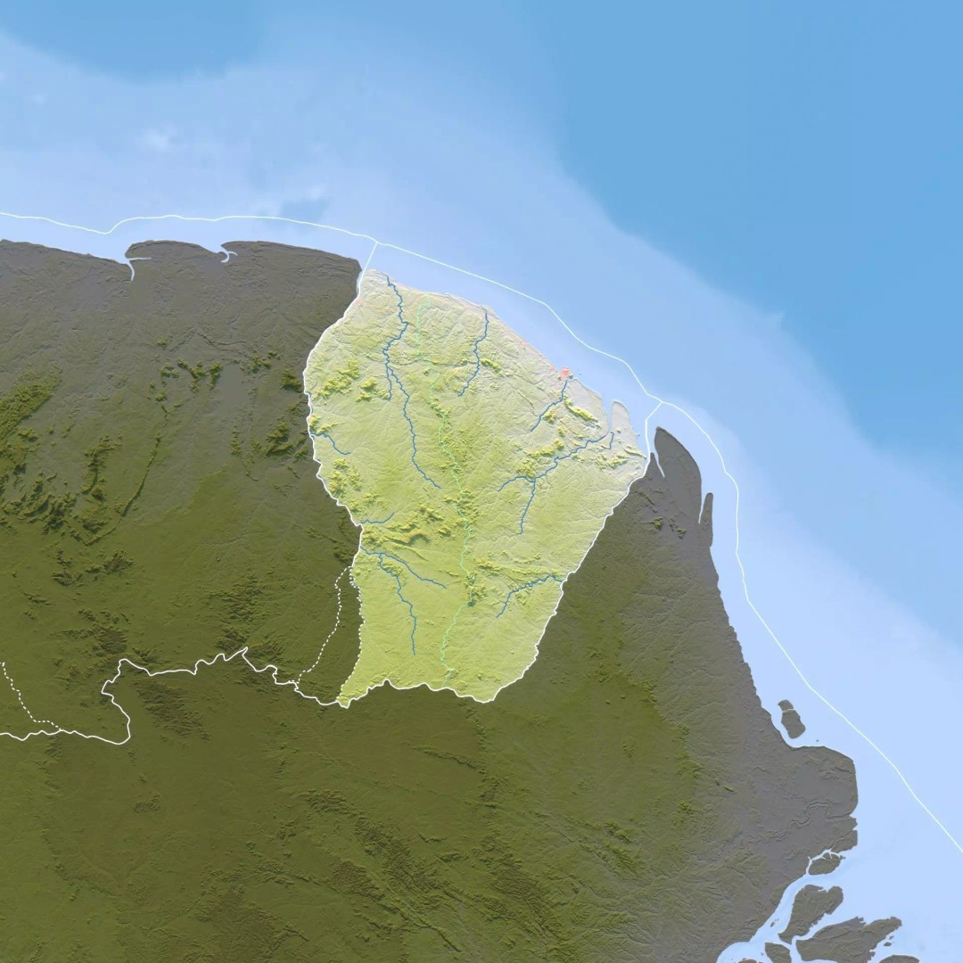 French Guiana Map 3D Model – Realistic Satellite Terrain, FBX, OBJ - View 11