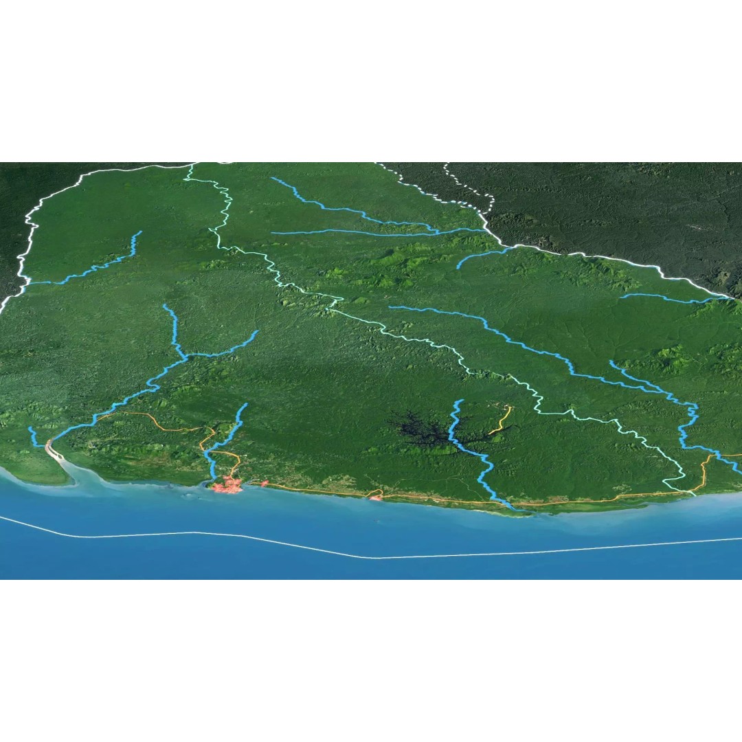 French Guiana Map 3D Model – Realistic Satellite Terrain, FBX, OBJ - View 8