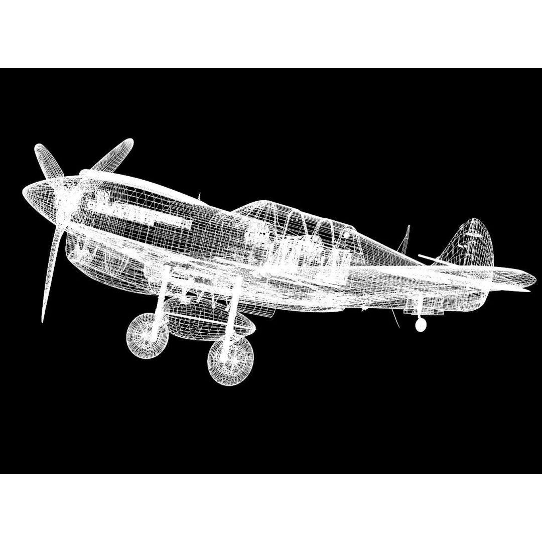 Curtiss TP-40N Warhawk 3D Model – High Poly Military Aircraft, FBX