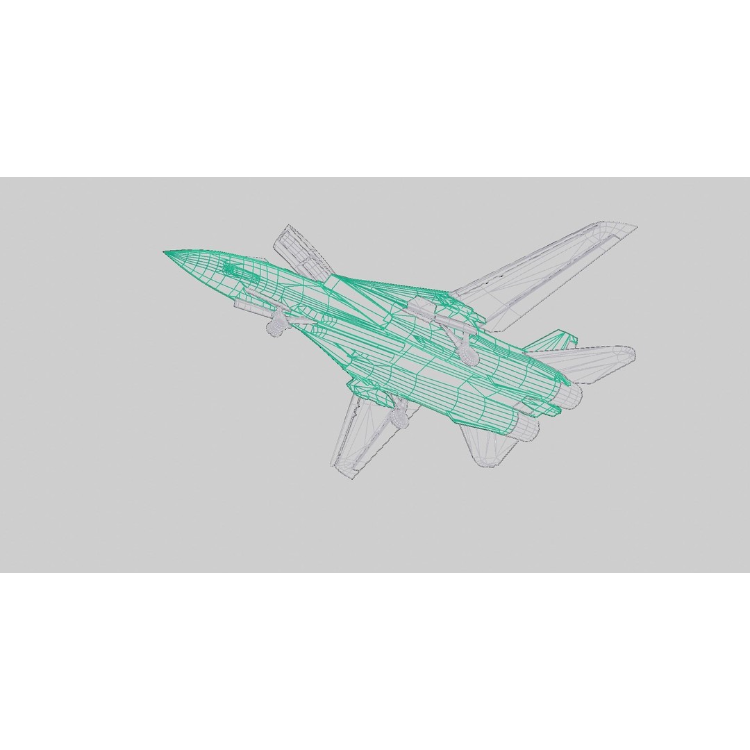 Grumman F-14 Tomcat 3D Model – Low Poly Animated Military Aircraft, FBX