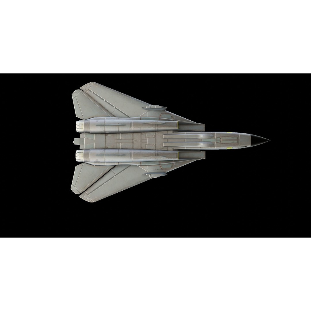Grumman F-14 Tomcat 3D Model – Low Poly Animated Military Aircraft, FBX - View 10
