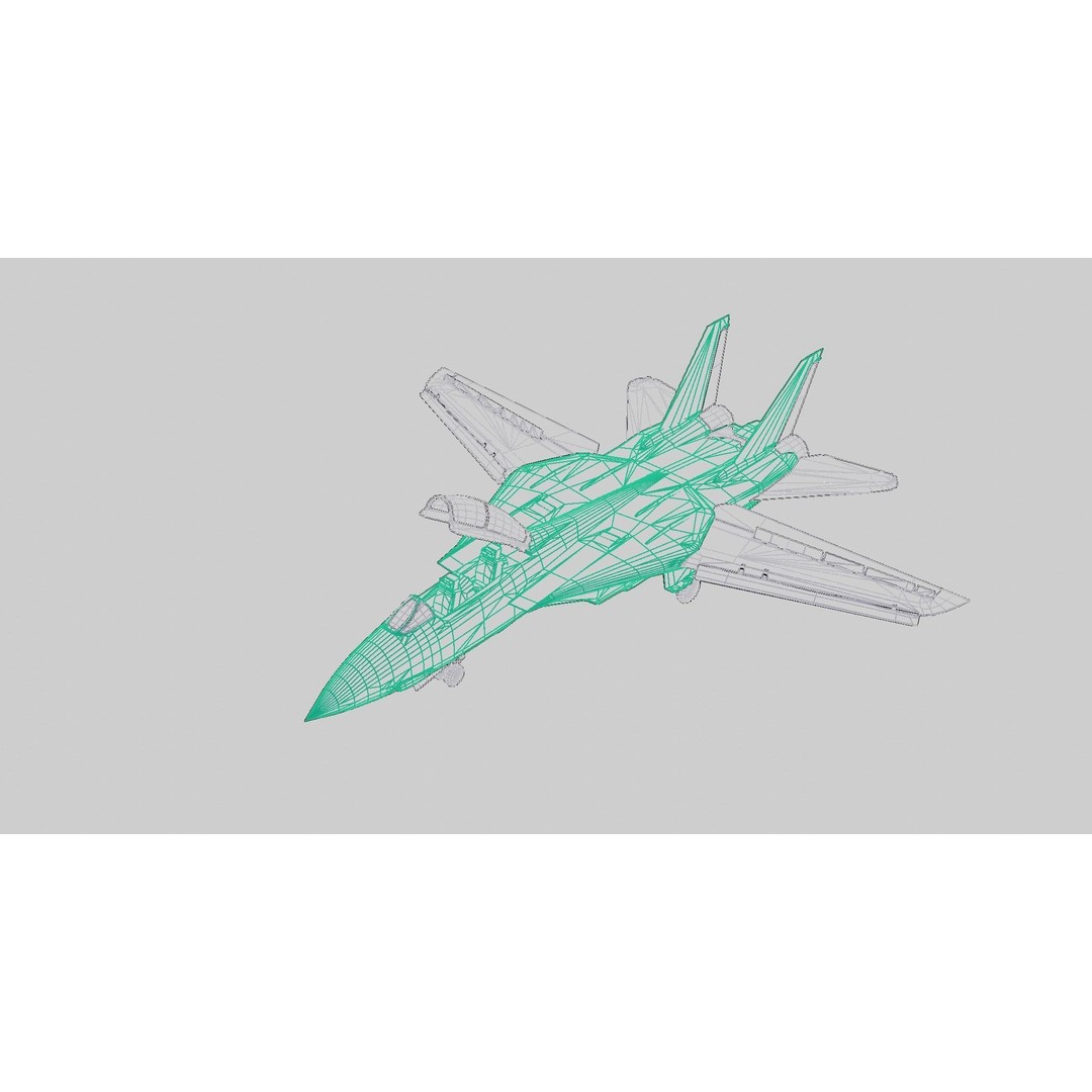 Grumman F-14 Tomcat 3D Model – Low Poly Animated Military Aircraft, FBX - View 14