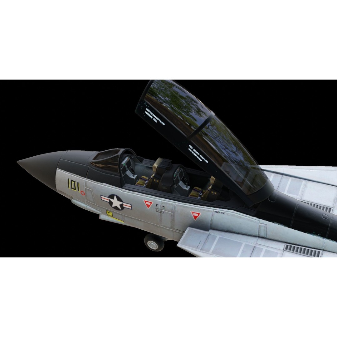 Grumman F-14 Tomcat 3D Model – Low Poly Animated Military Aircraft, FBX - View 5