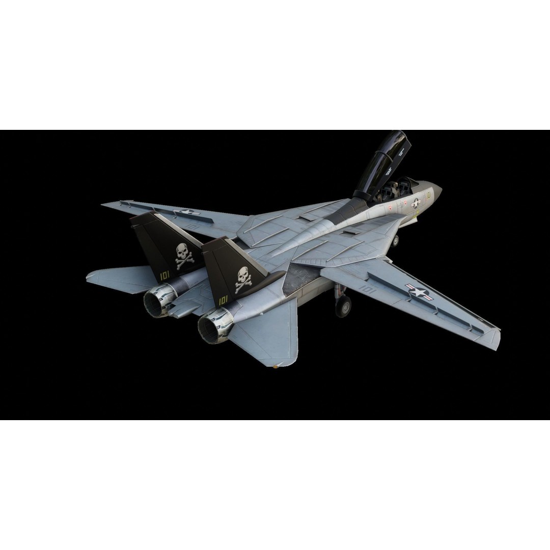 Grumman F-14 Tomcat 3D Model – Low Poly Animated Military Aircraft, FBX - View 8