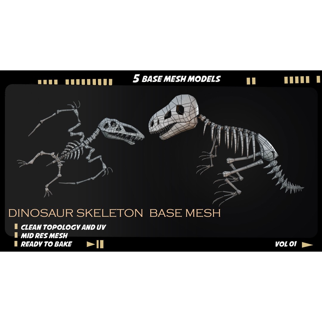 Dinosaur Skeleton 3D Model – Medium Poly Bone Mesh for Games - View 10