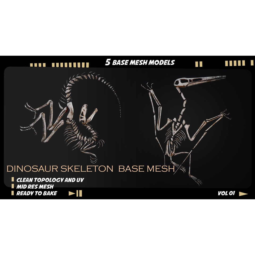 Dinosaur Skeleton 3D Model – Medium Poly Bone Mesh for Games - View 3