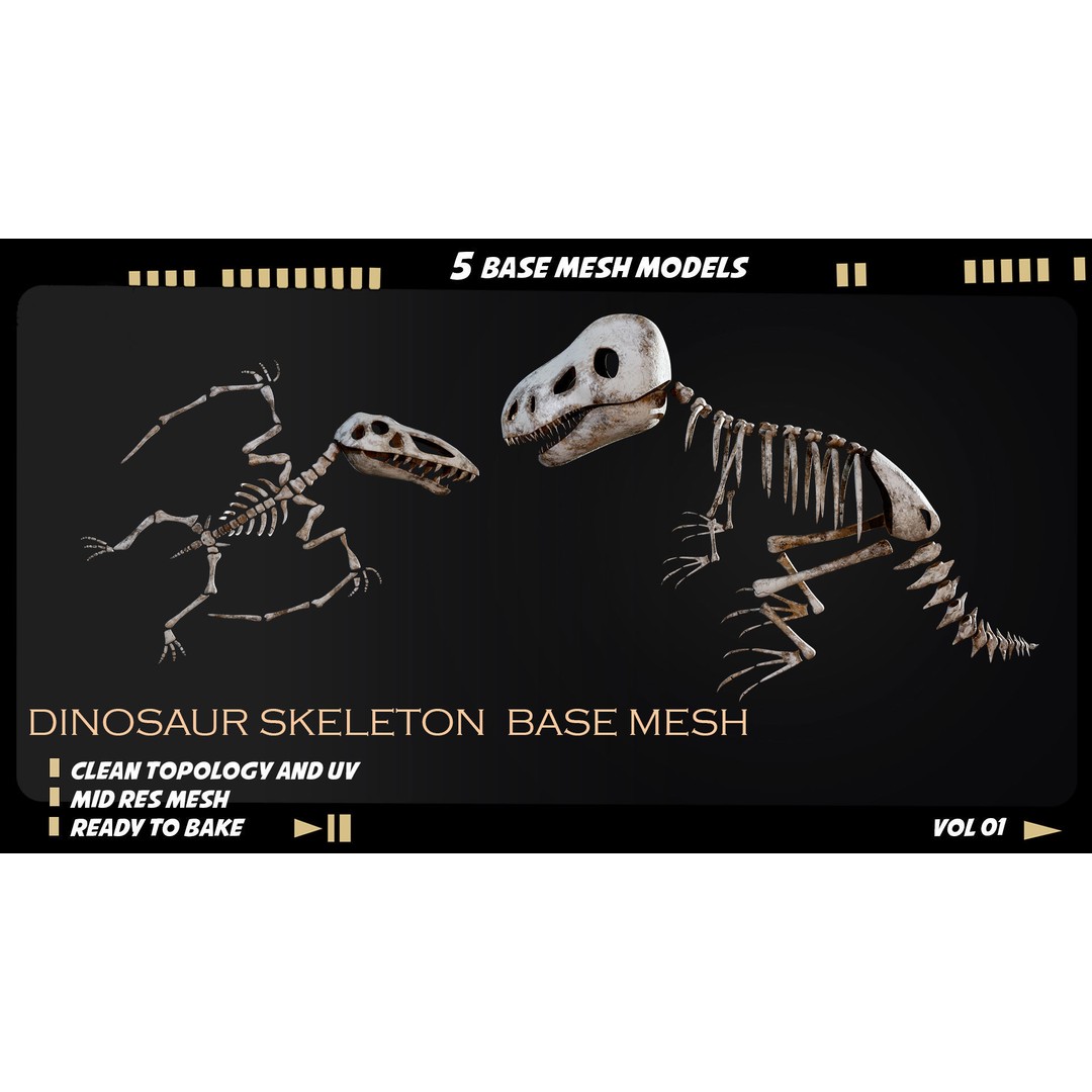Dinosaur Skeleton 3D Model – Medium Poly Bone Mesh for Games - View 4