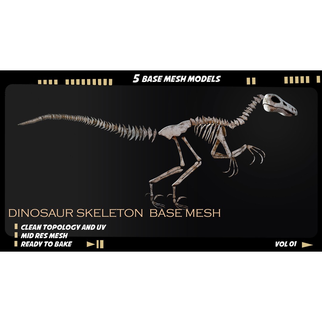 Dinosaur Skeleton 3D Model – Medium Poly Bone Mesh for Games - View 5