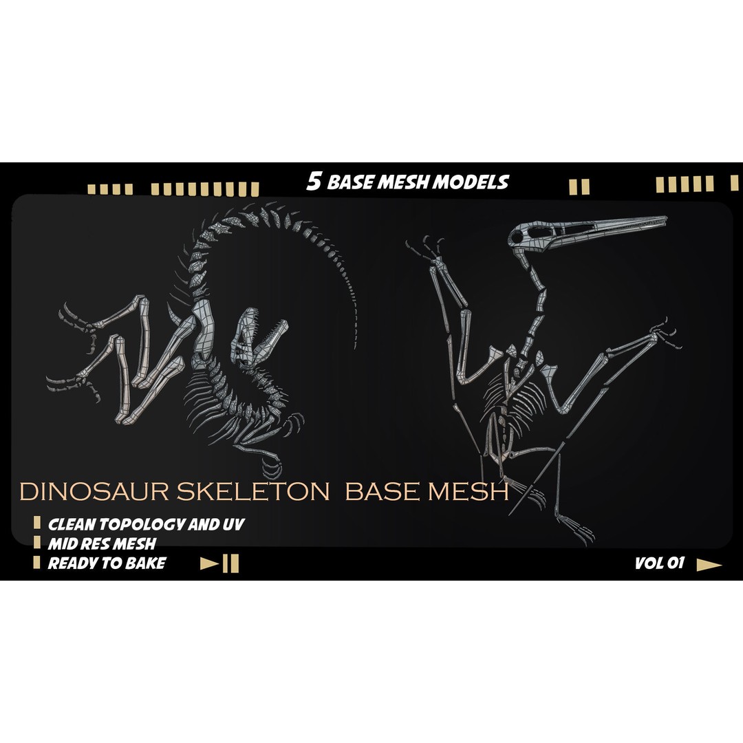 Dinosaur Skeleton 3D Model – Medium Poly Bone Mesh for Games - View 9