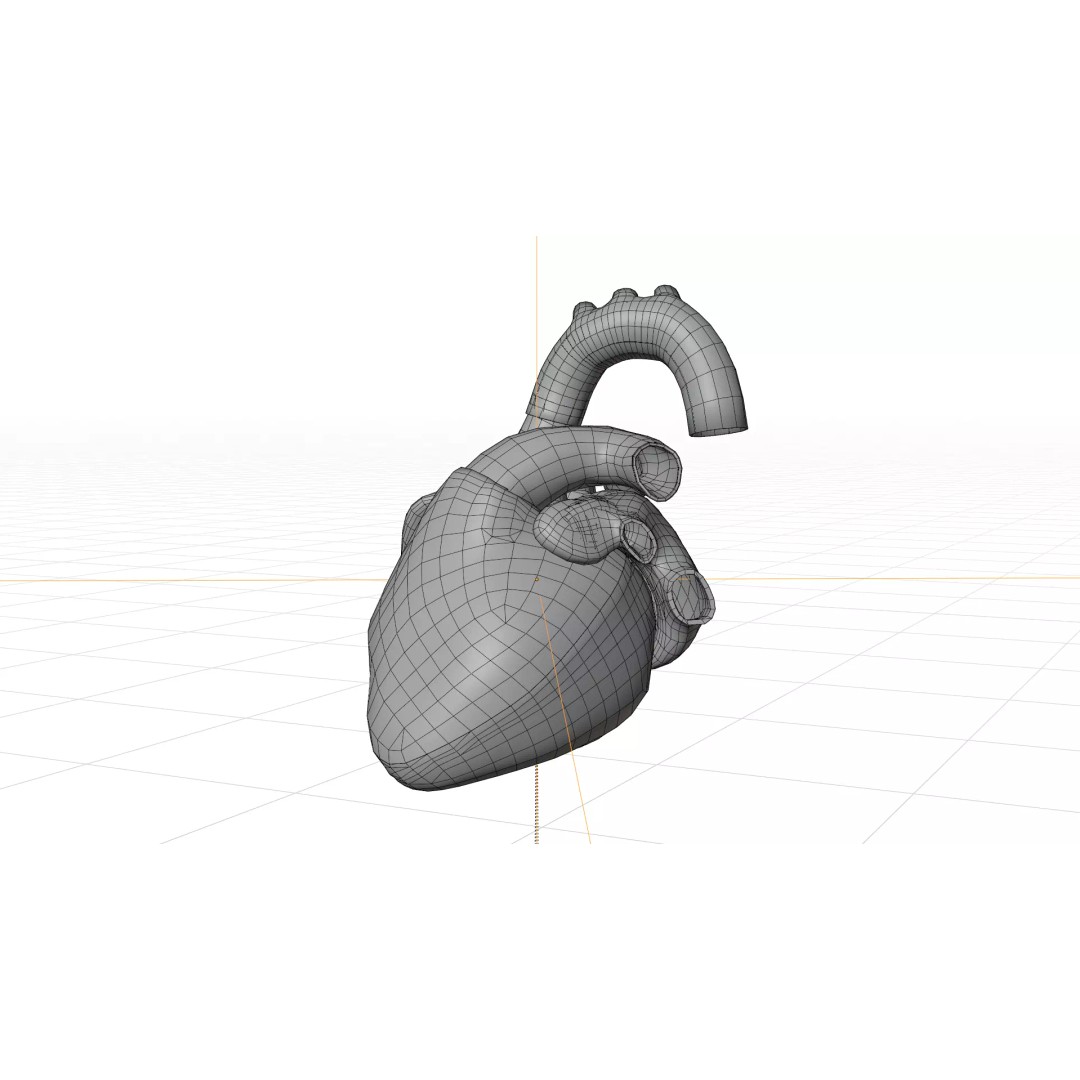 Human Heart 3D Model – Detailed Low Poly Cardiac Anatomy, FBX