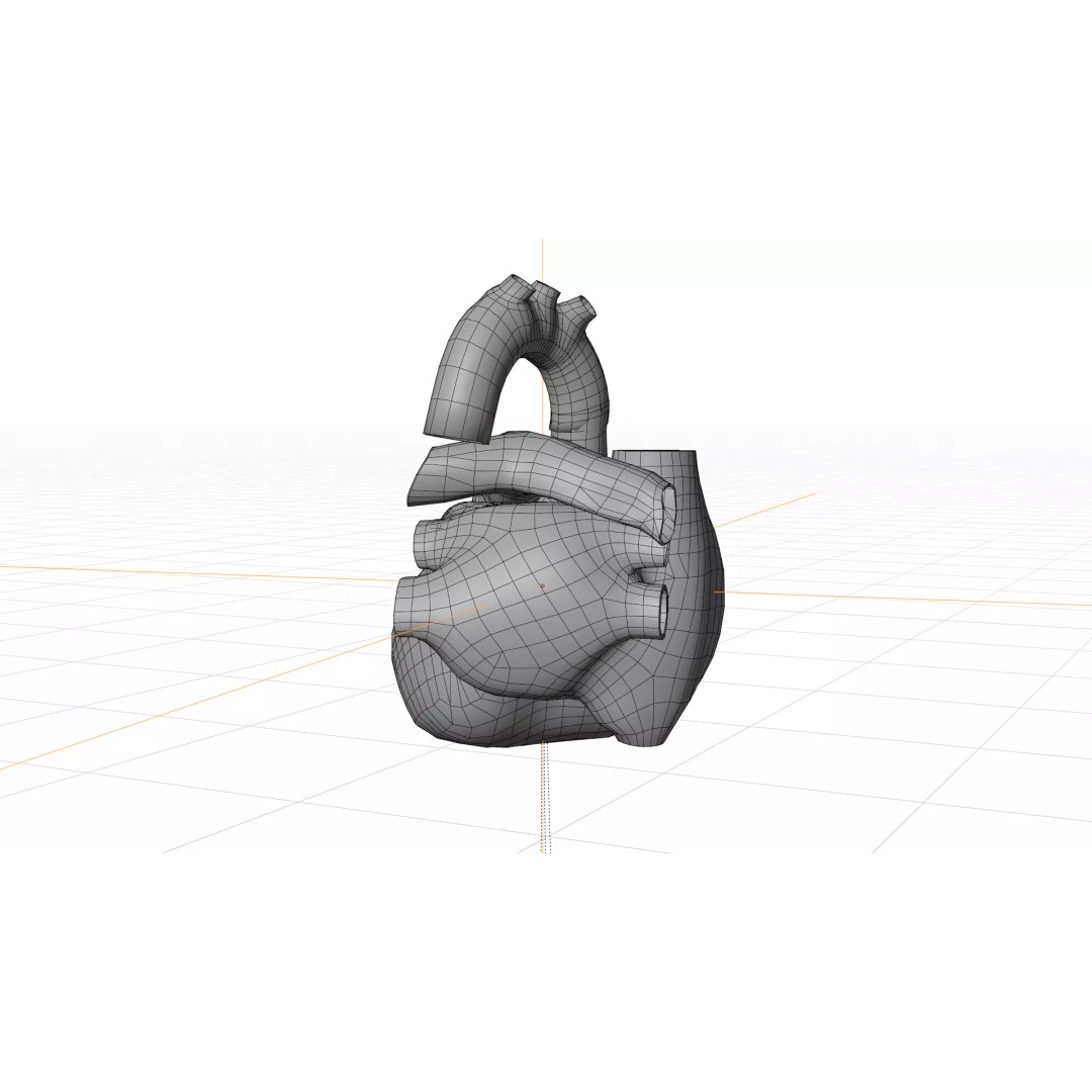 Human Heart 3D Model – Detailed Low Poly Cardiac Anatomy, FBX - View 4